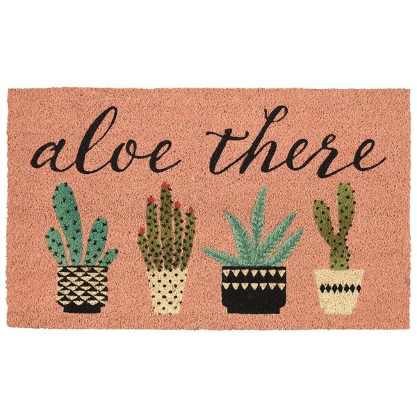 Design Imports 18 x 30 in. Aloe There Doormat CAMZ11542